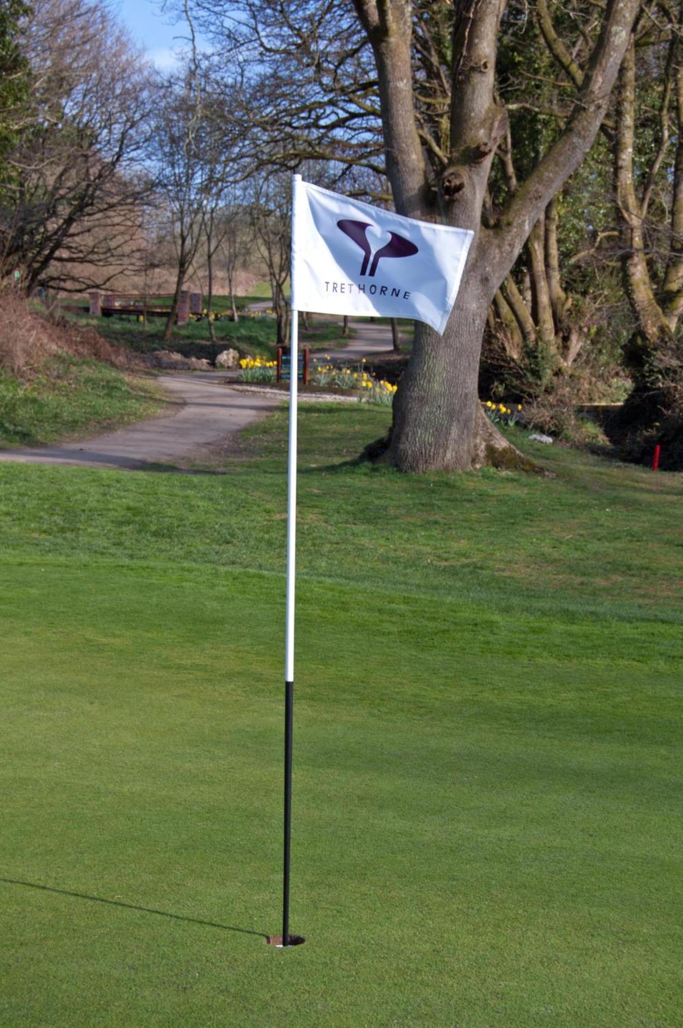 Trethorne Hotel & Golf Club 론서스턴 외부 사진